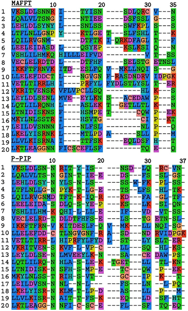 FIGURE 3