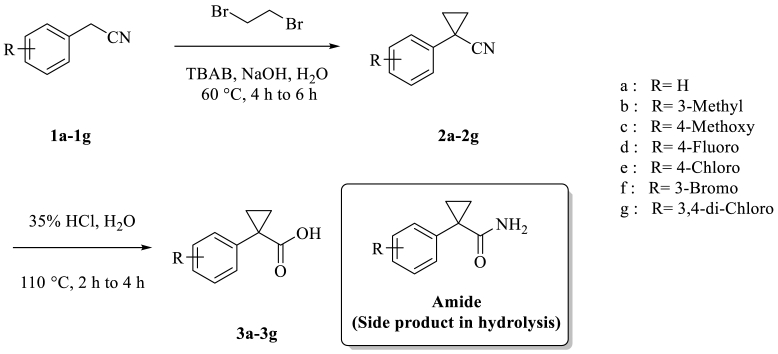 Scheme 1