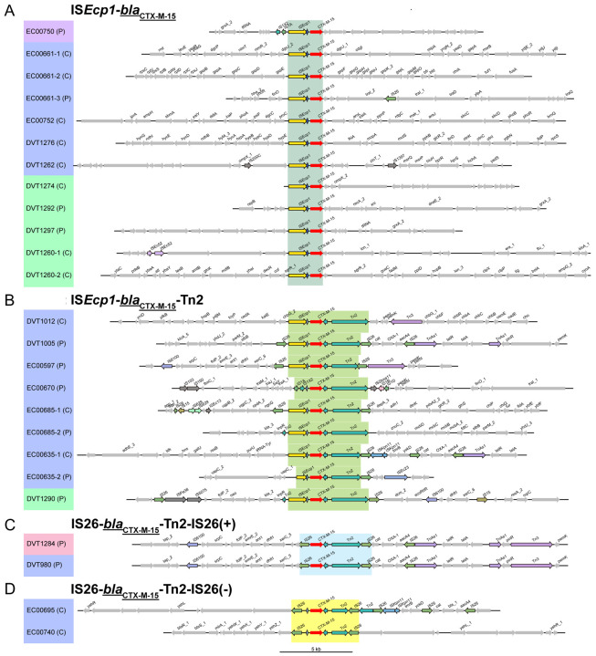 Figure 5.