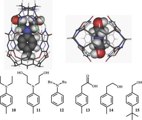 Fig. 8.