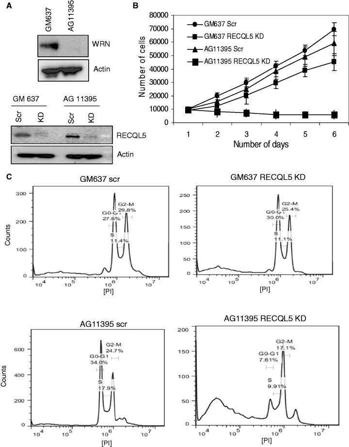 Figure 5.