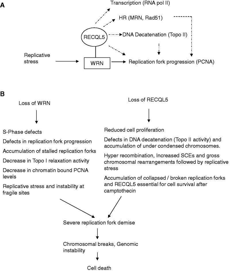 Figure 10.