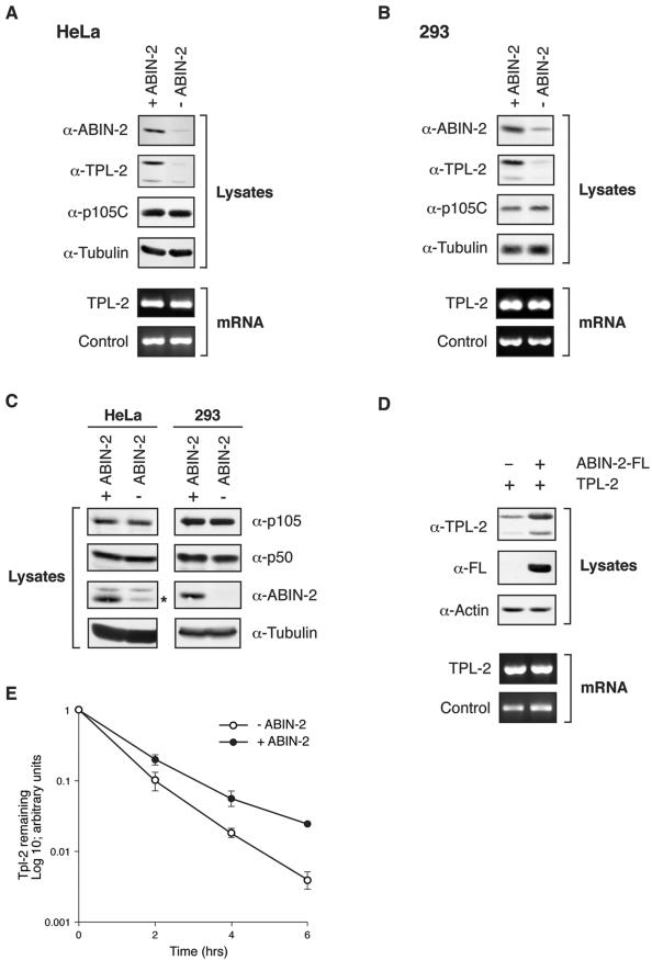 FIG. 7.