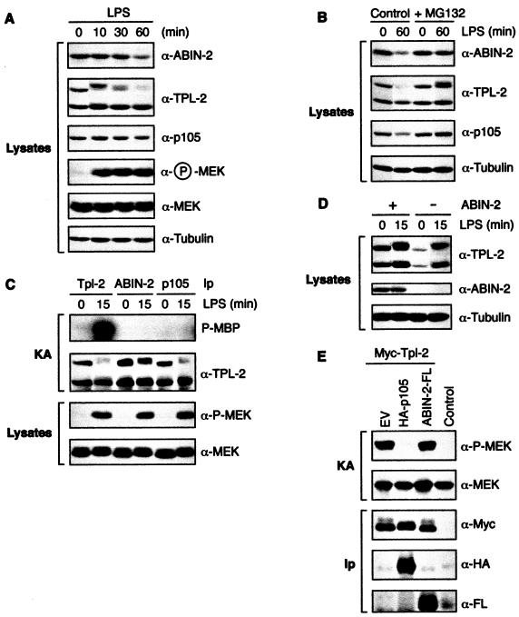 FIG. 9.