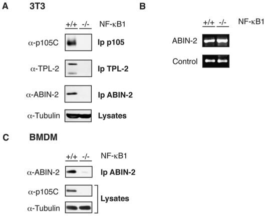 FIG. 8.