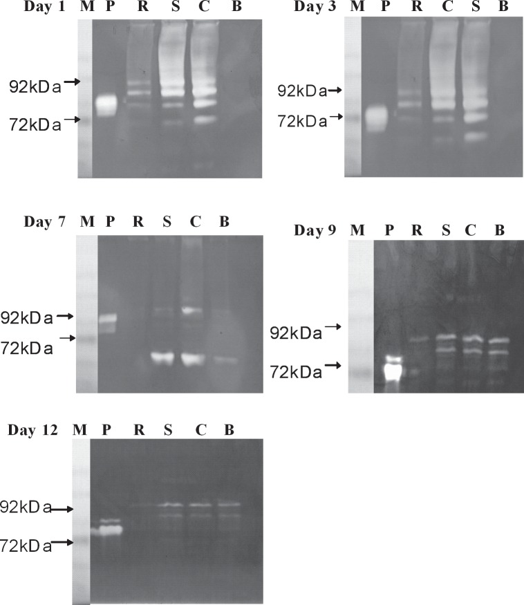 Fig 12