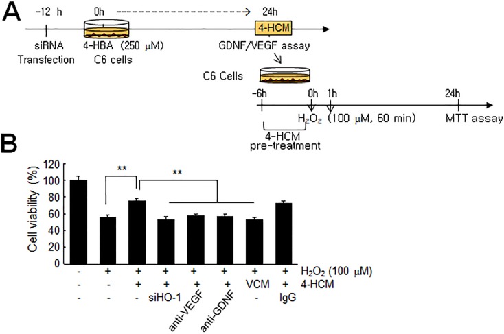 Fig 8