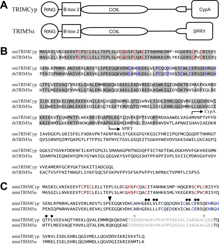 FIG 1