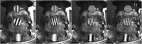 Fig. 16
