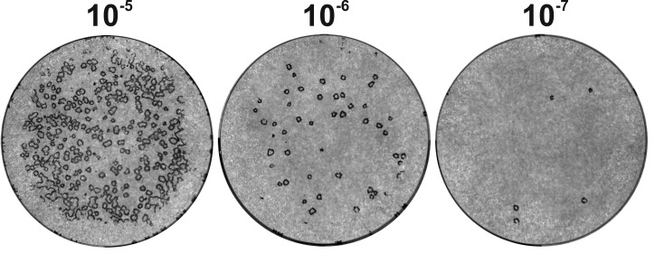 Figure 7.