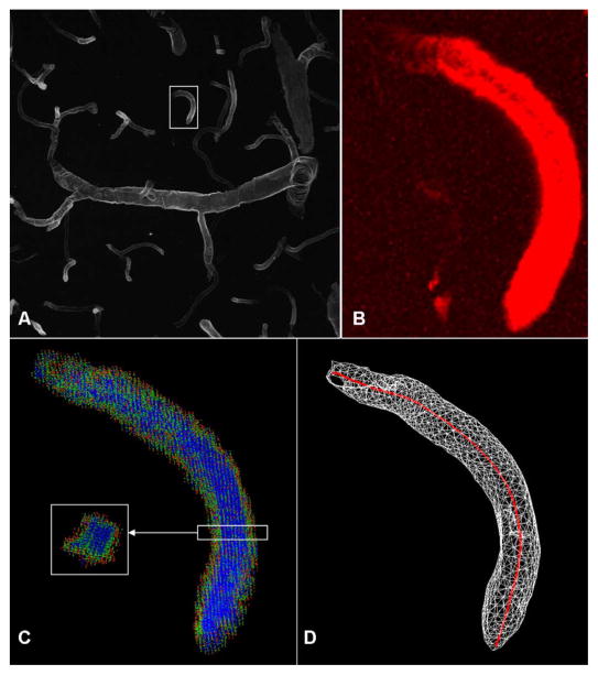 Fig. 4