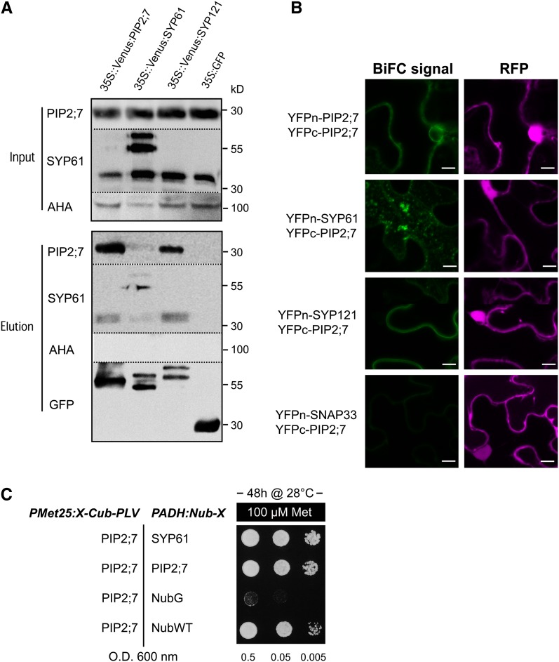 Figure 3.