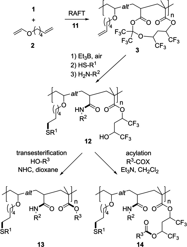 Scheme 5