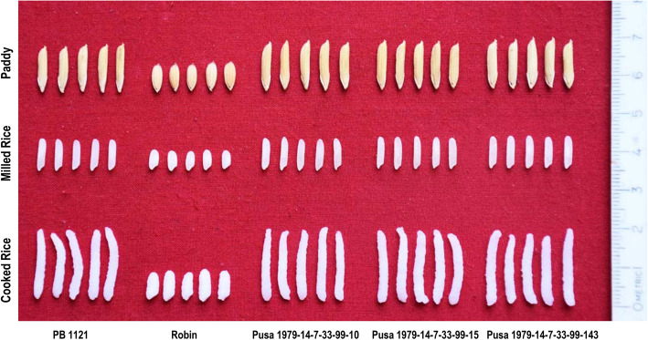 Fig. 9