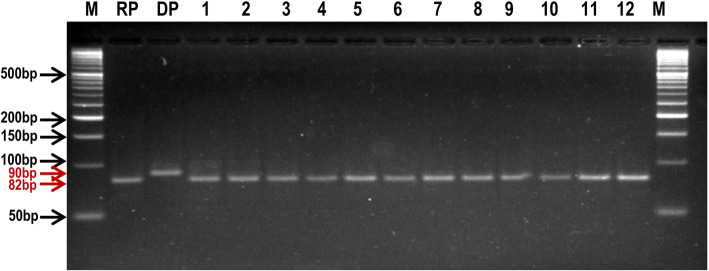 Fig. 10