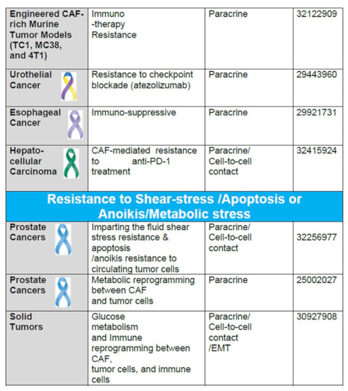 graphic file with name cancers-13-05246-i001e.jpg