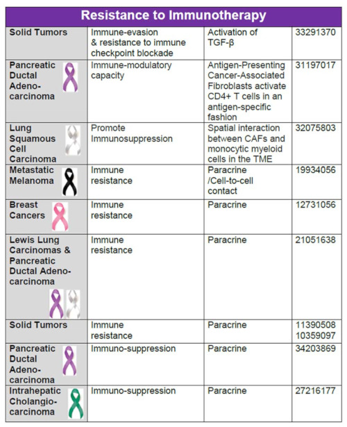 graphic file with name cancers-13-05246-i001d.jpg