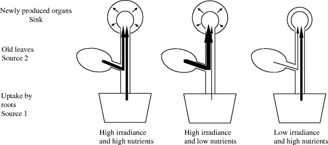 Fig. 1.