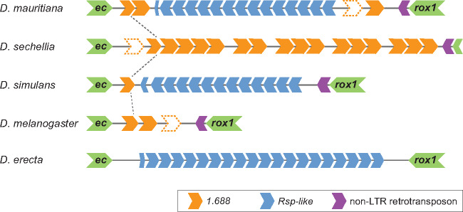 Fig. 2.