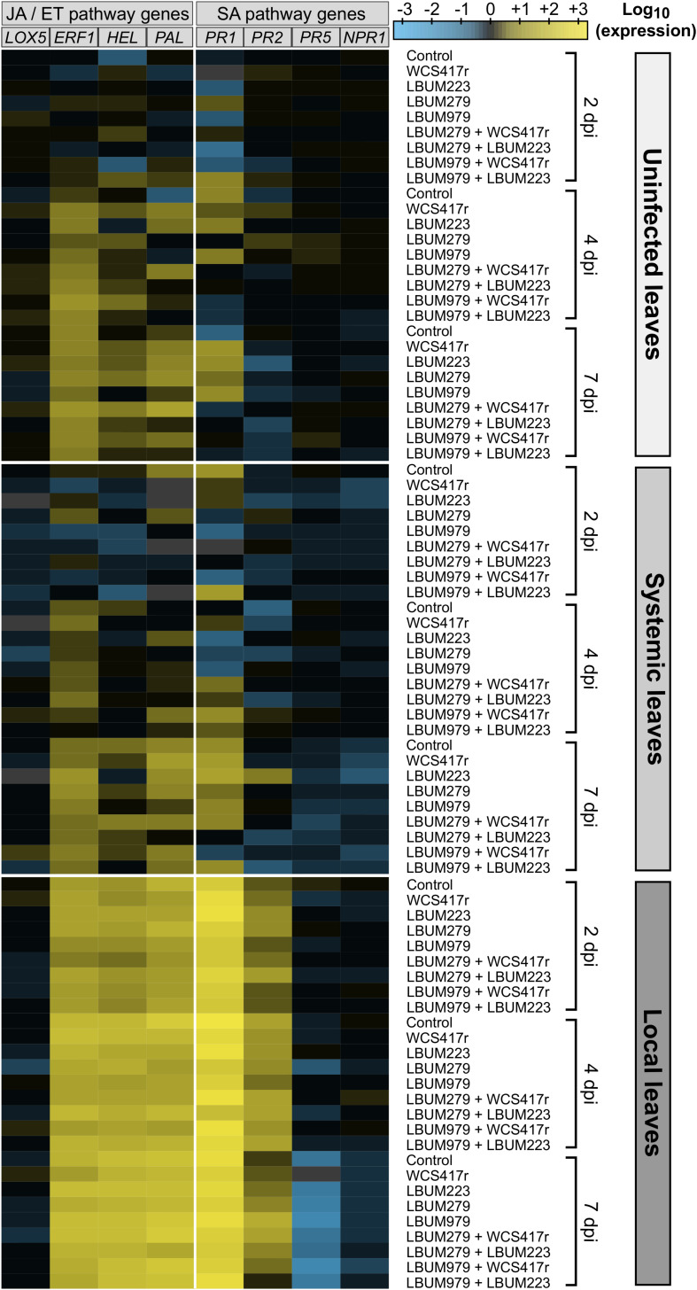 FIGURE 3