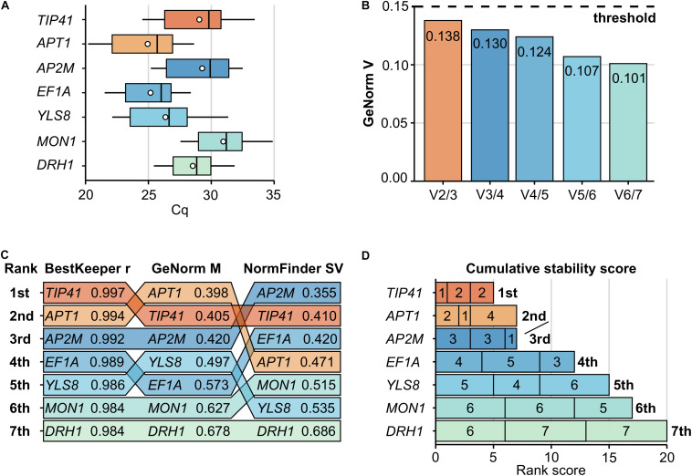 FIGURE 2