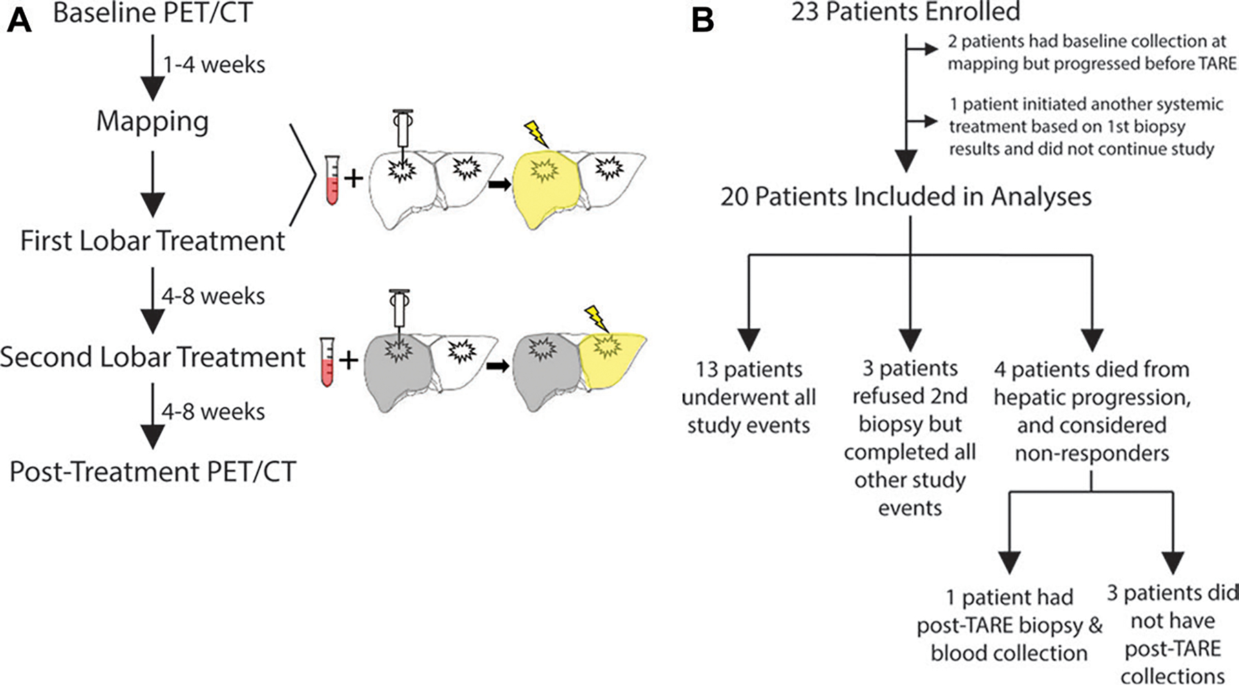 Figure 1: