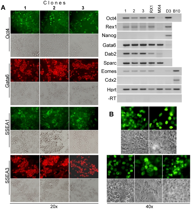 Figure 6