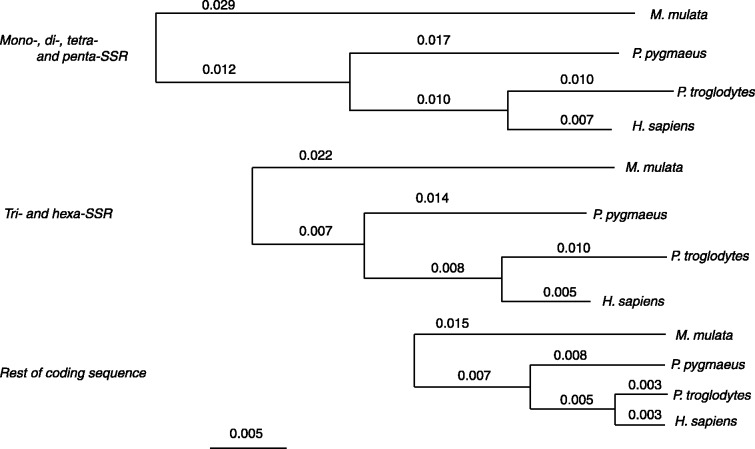 Fig. 3.—