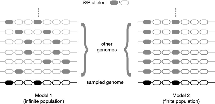 Fig. 1.—