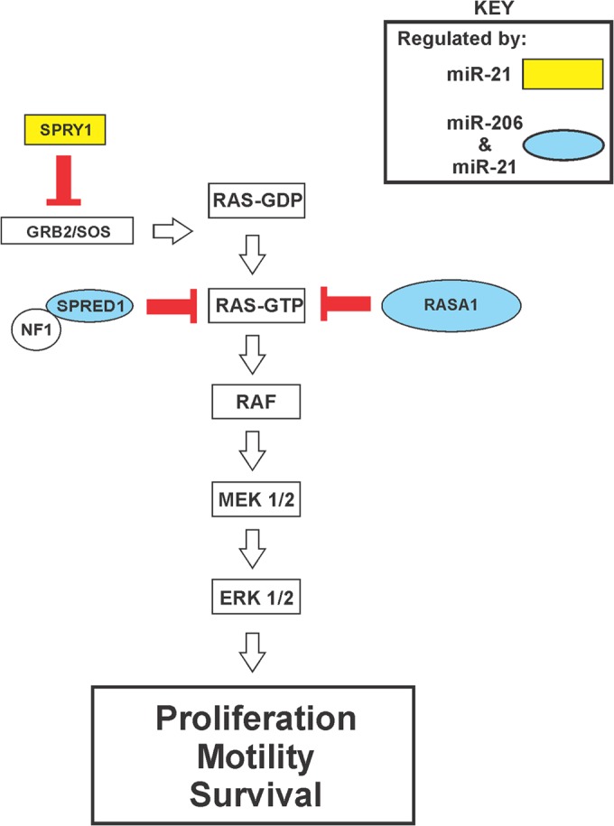 FIG 13