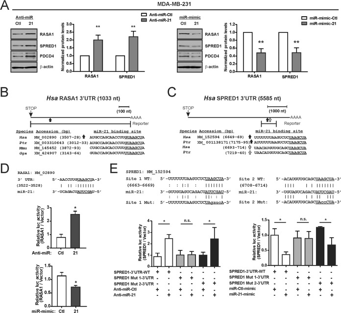 FIG 6