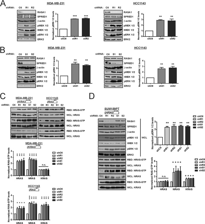 FIG 10