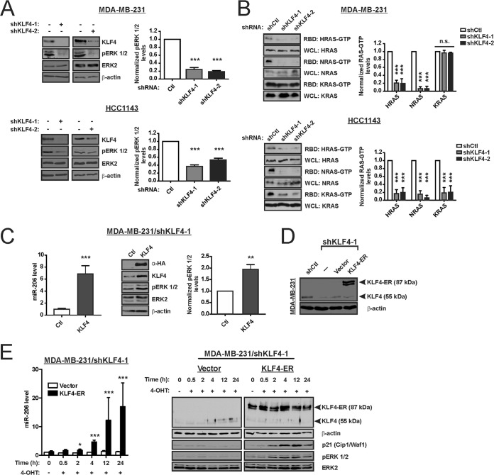 FIG 2