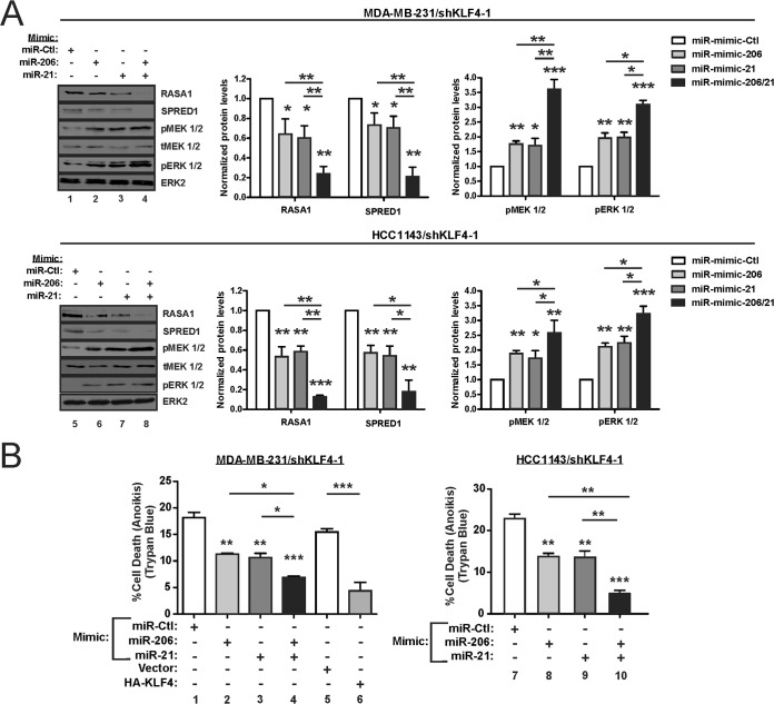 FIG 12