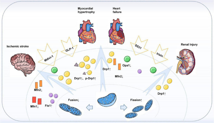 FIGURE 3