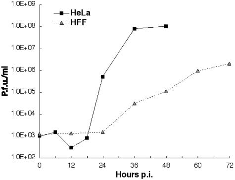 FIG. 1.