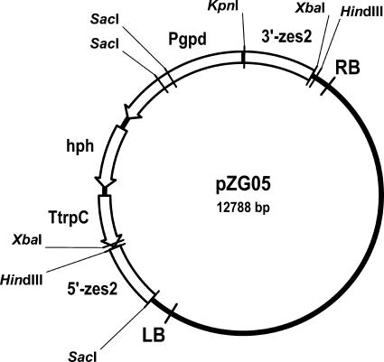 FIG. 1.