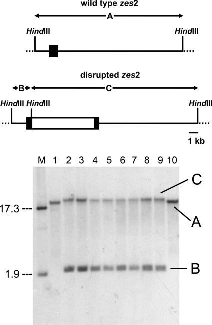 FIG. 5.