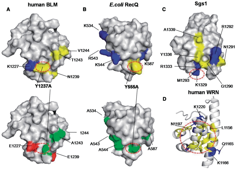 Figure 6.