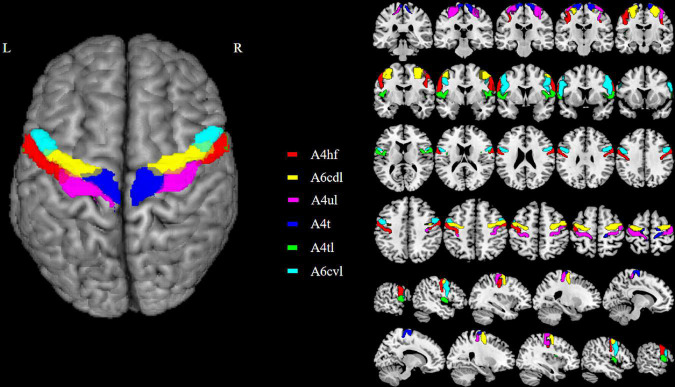 FIGURE 1