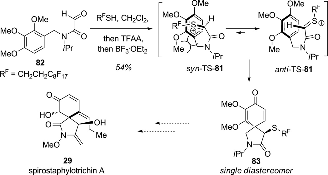 Scheme 5