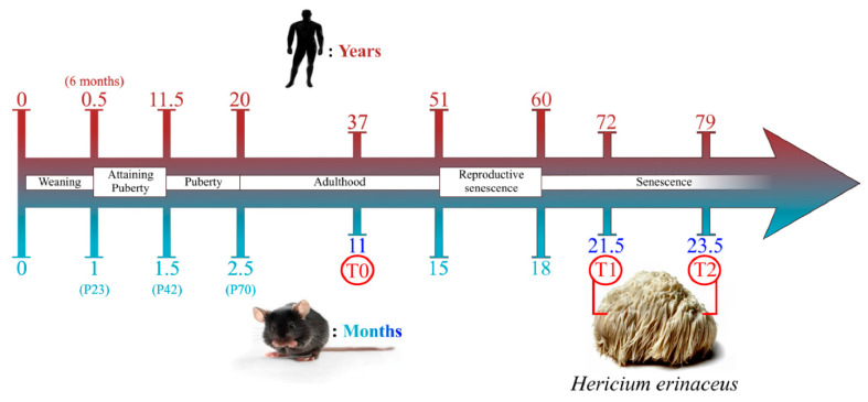 Figure 16