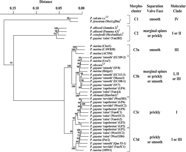 Figure 10