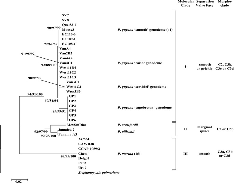 Figure 13