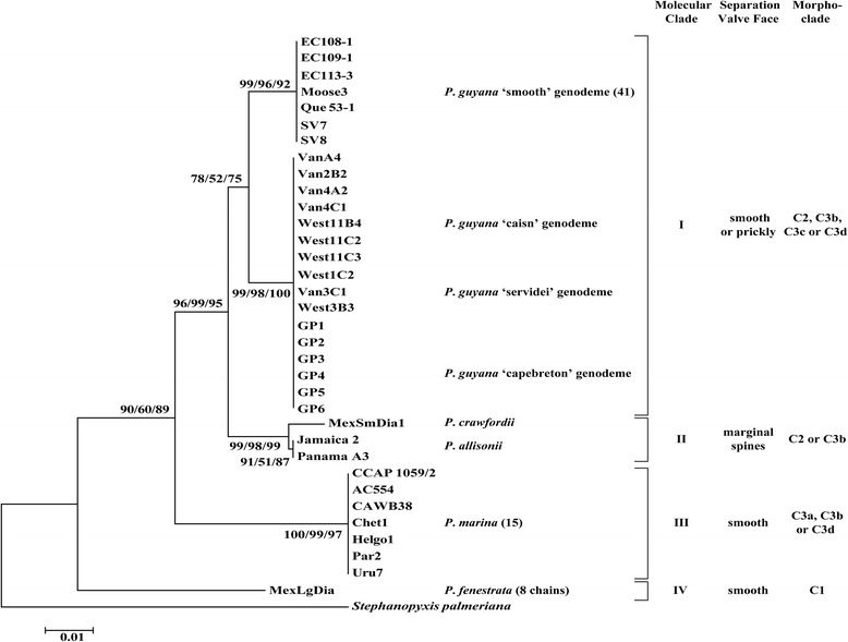 Figure 14