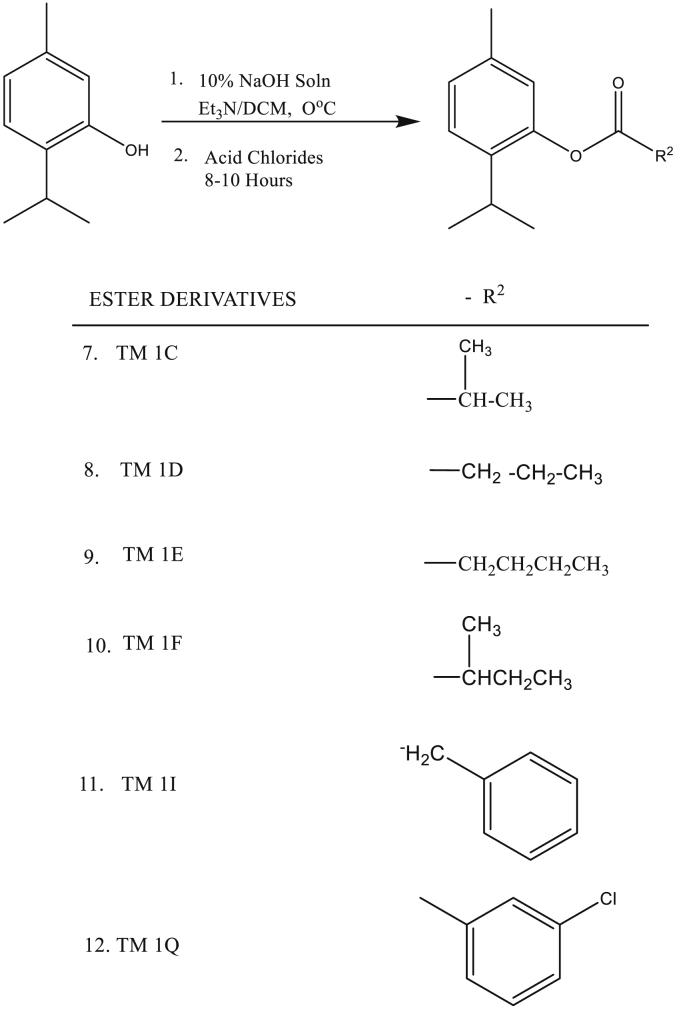 Scheme 2