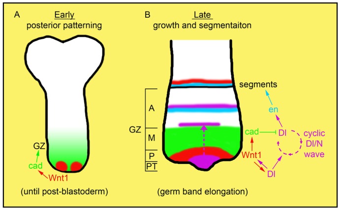 Fig. 7.