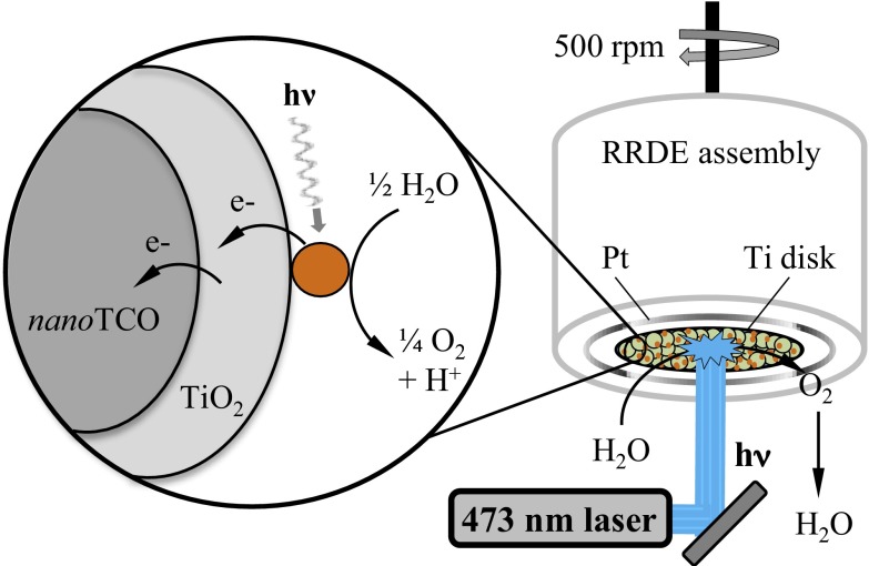 Fig. 5.