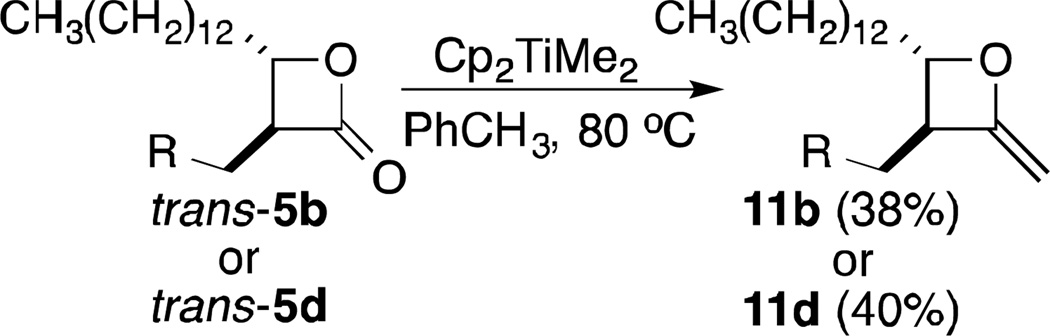 Scheme 2