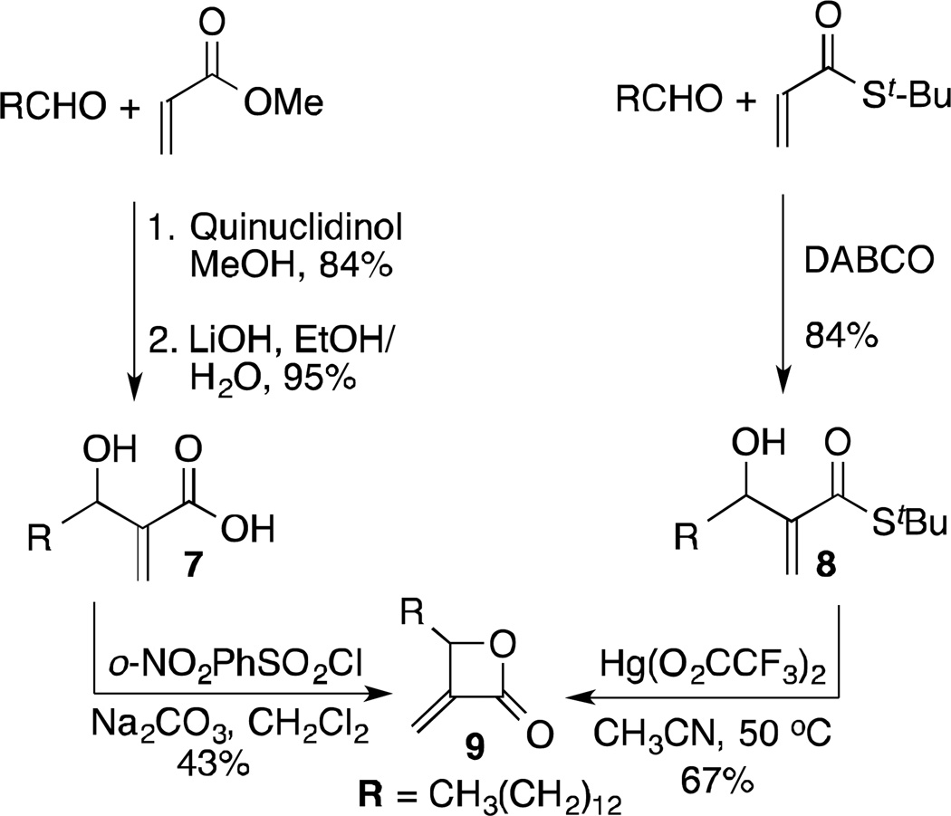 Scheme 1